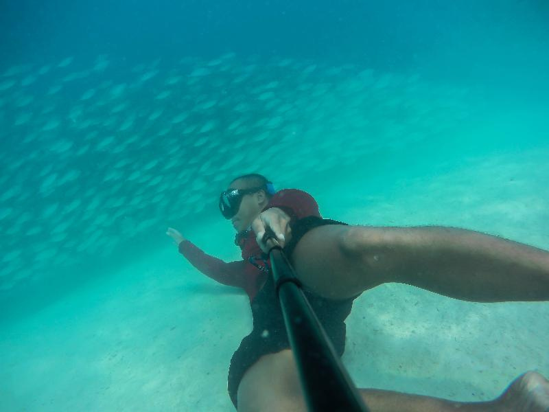 Modessa Island