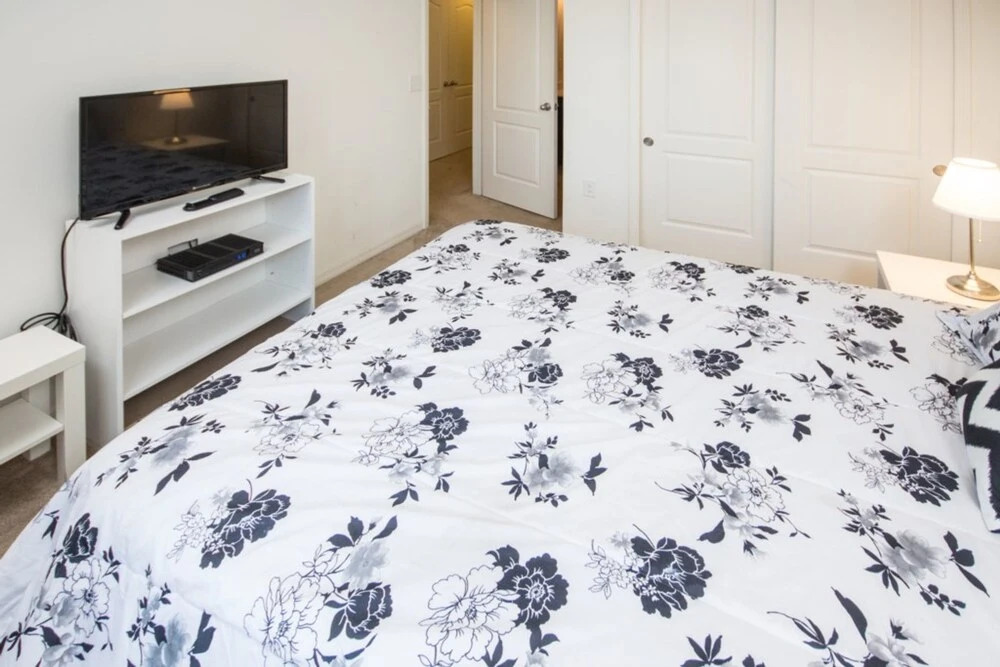 Compass Bay 3131