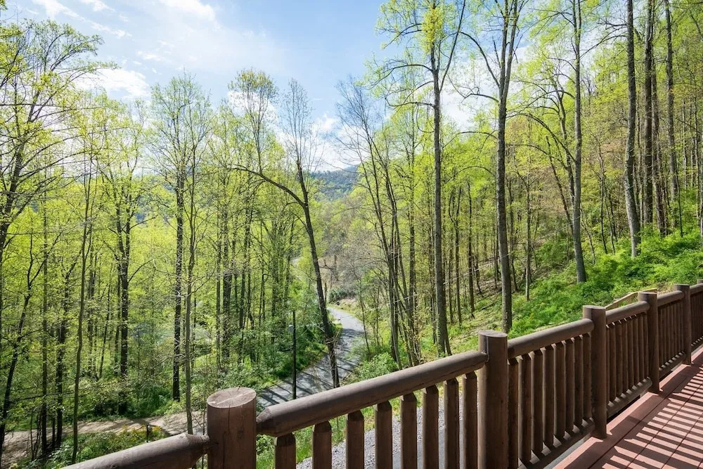 Lakey Gap Lodge - 4 Br Cabin