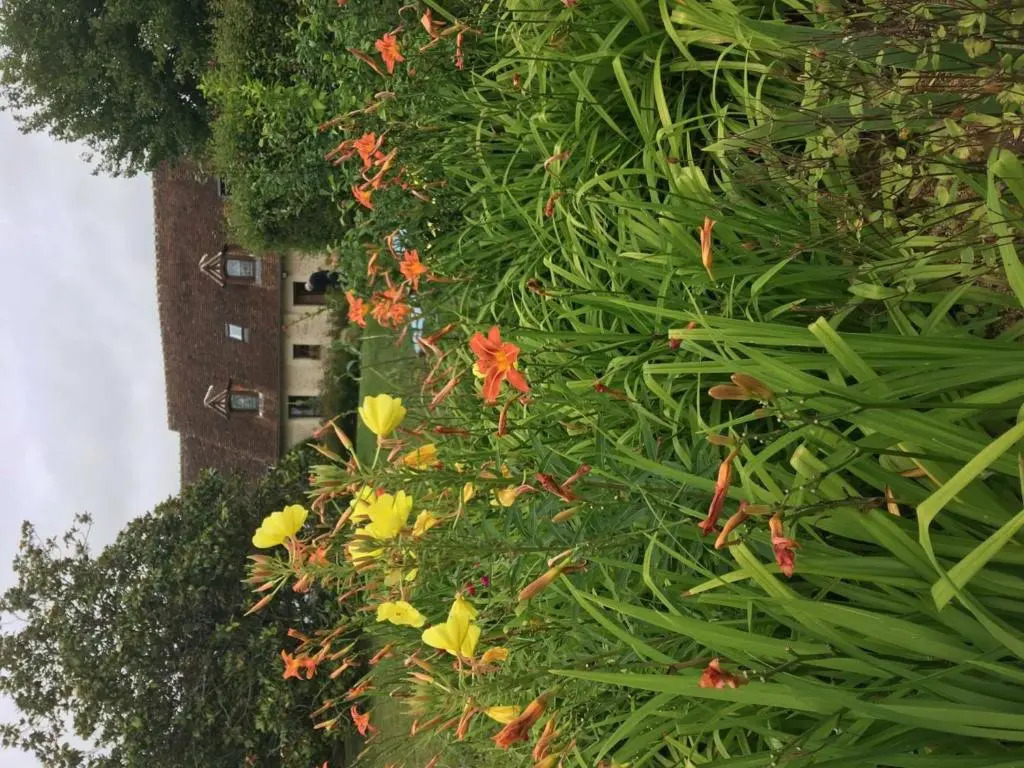 Gîte Normand Idéal Familles et Amis, Jardin et Animaux Acceptés - FR-1-497-38