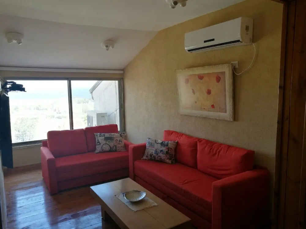 Shalva Mol Kinneret