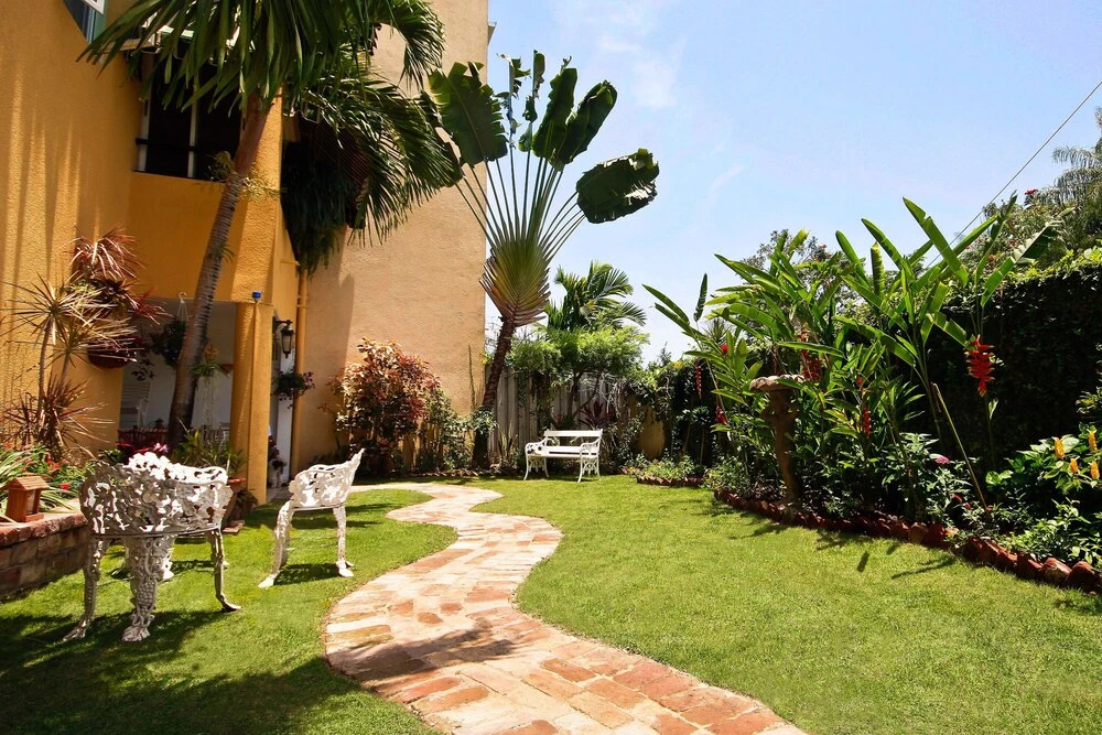 Cattleya's Green Suite Exquisite