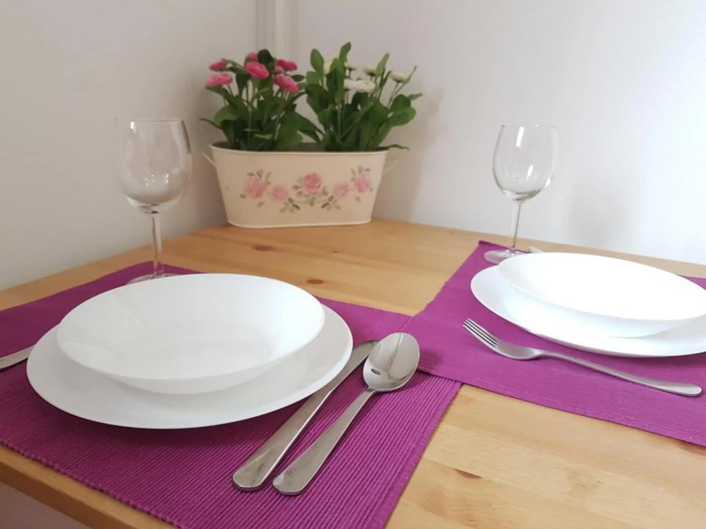 Studio Apartman Ld U Strogom Centru