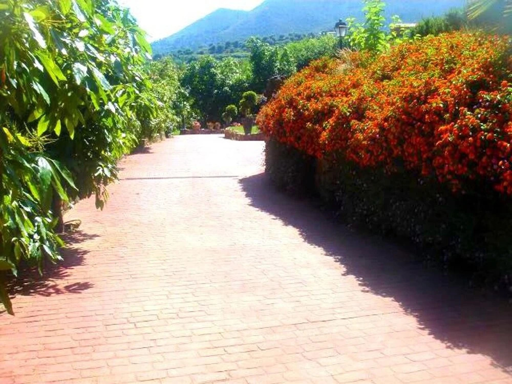 Villa Camino del charco de la viña