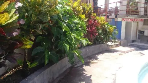Hotel Paquenito Bahia