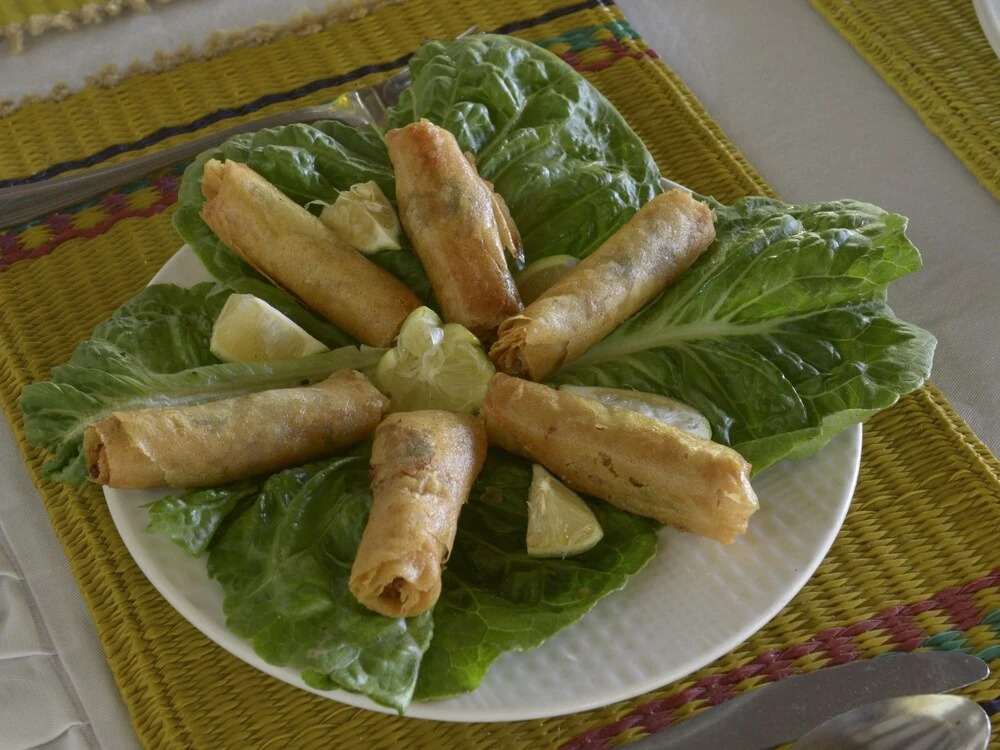 Dar Zaghouan