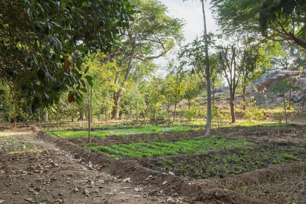SaffronStays Camelot by the Lake - 3BR villa with glass walls, TT, projector, and gardens, Udaipur