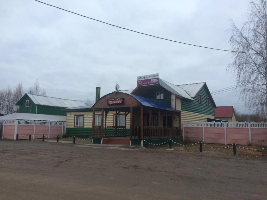 Фламинго