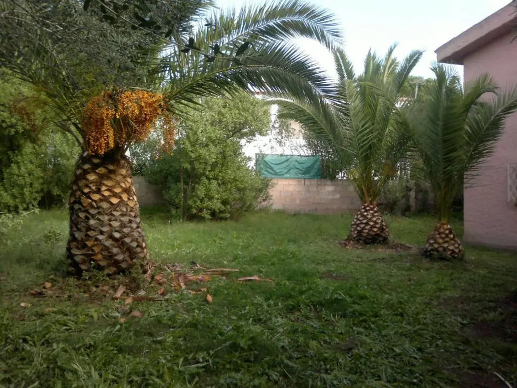 Il Fenicottero Rosa