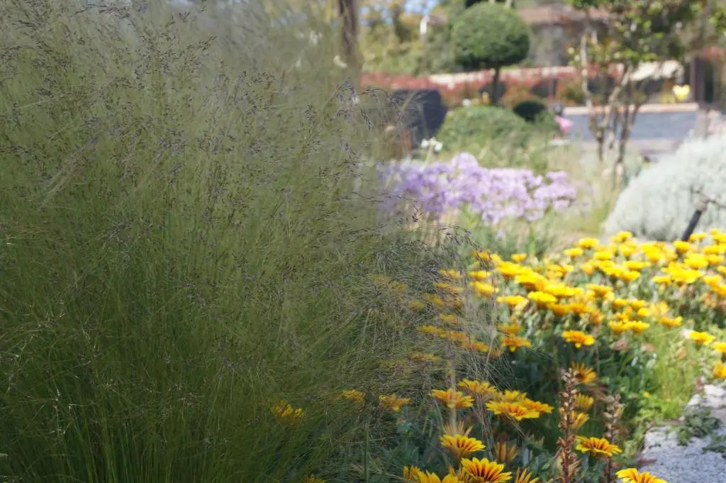 Les Jardins De Santa Giulia - Charmante chambre dhte 2