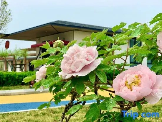 Yirenfang B&B