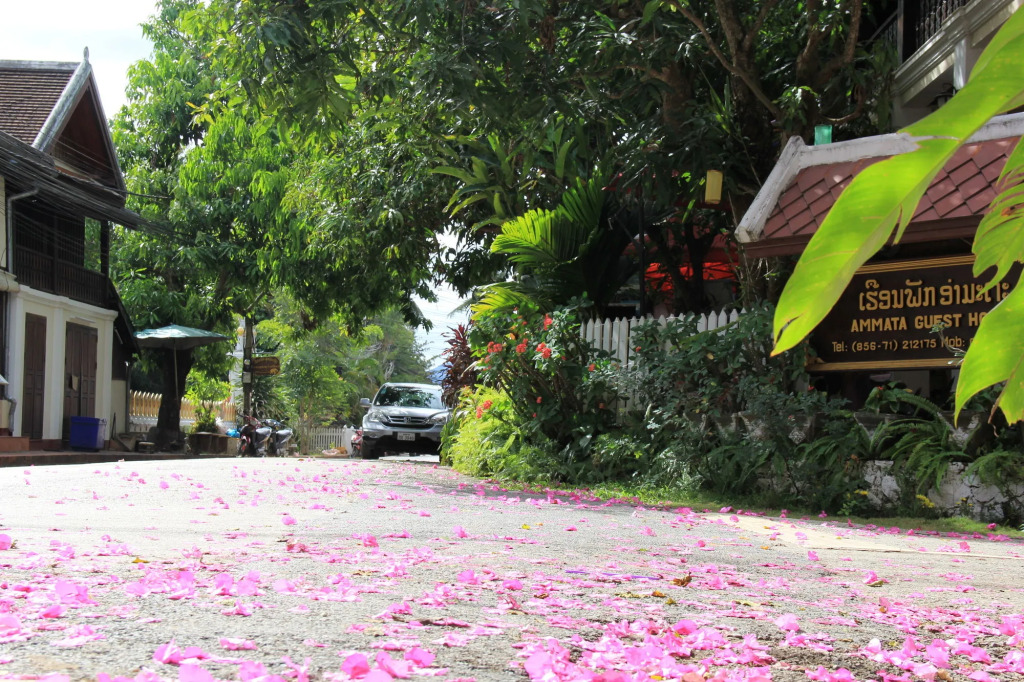 wisdom hotel