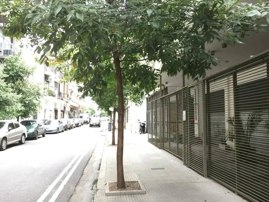 El Candil de San Telmo