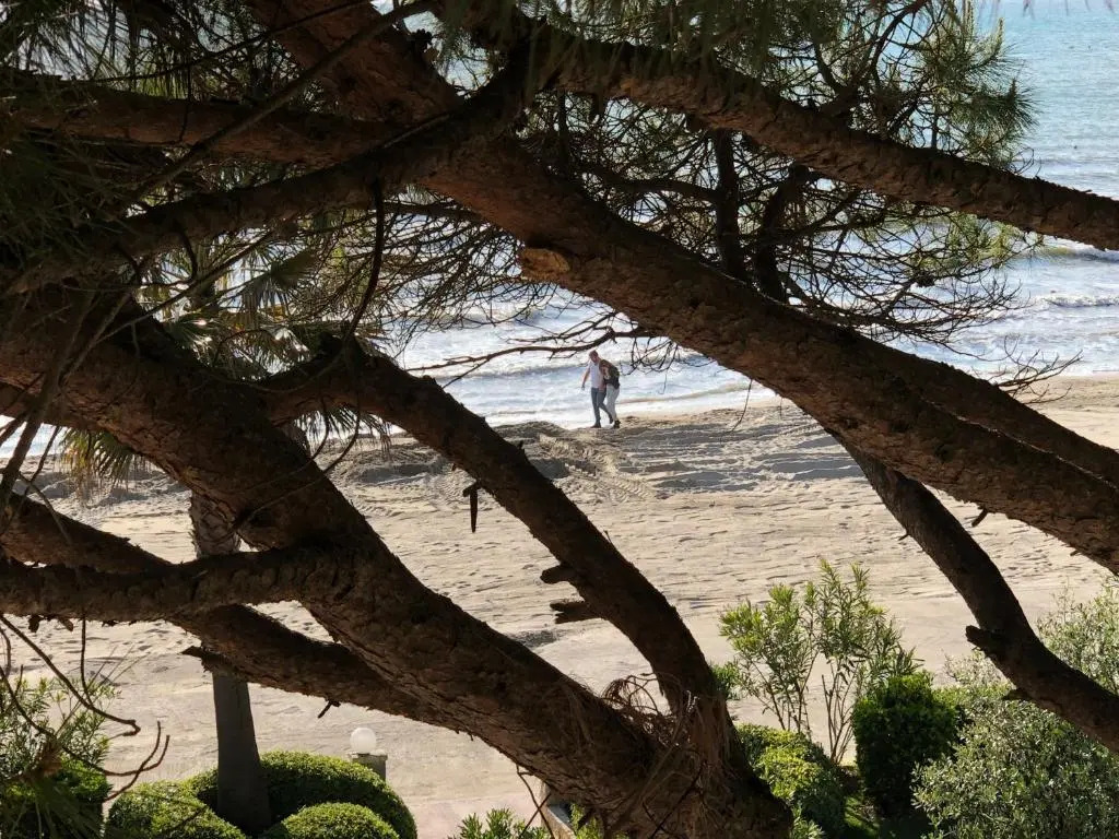 Mali i Robit Beachfront Apartment