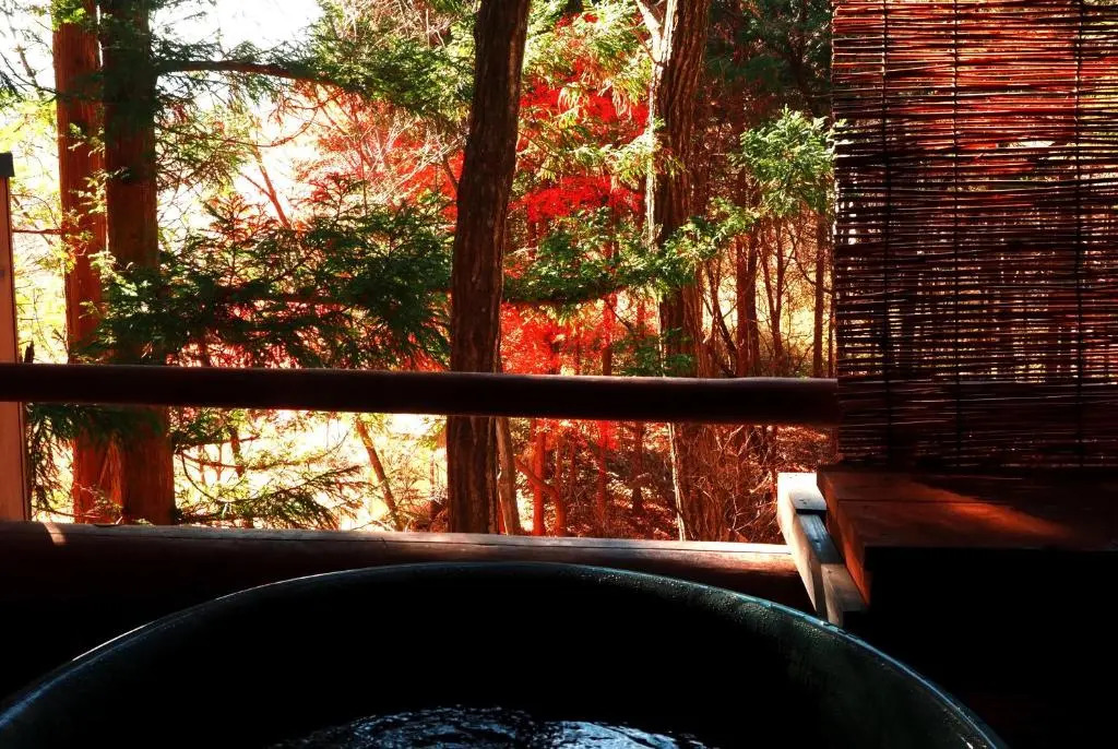 Gableview Forest Inn ゲーブルビュー