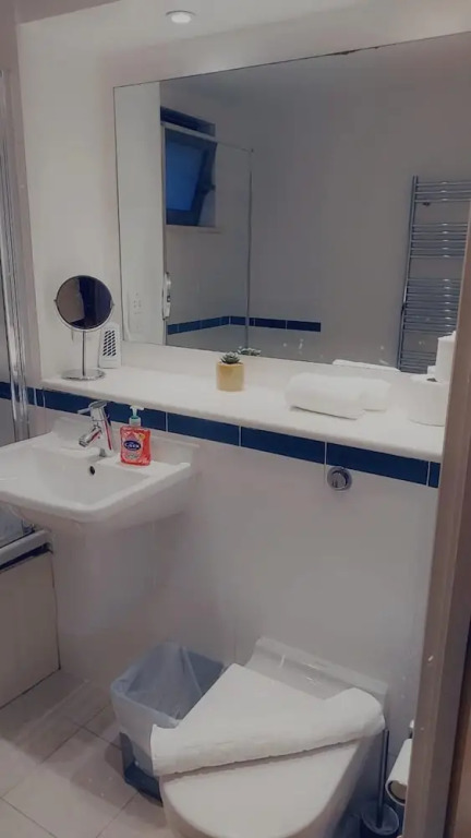 Immaculate 1-bed Apartment in London