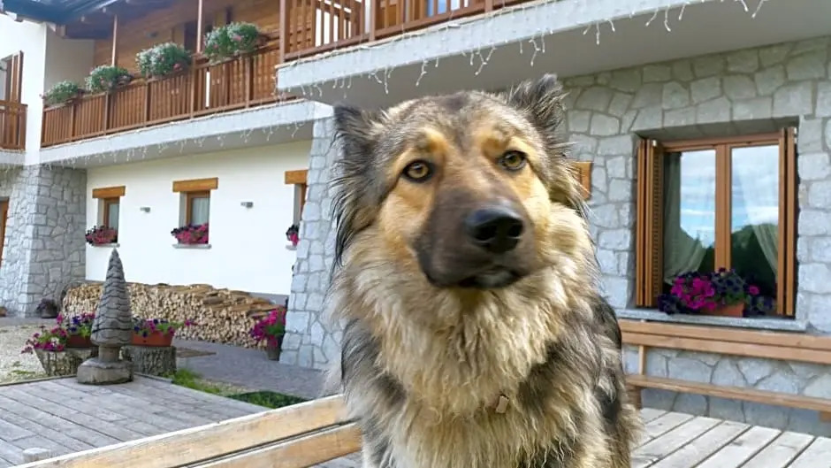 Albergo Chalet Abete Rosso