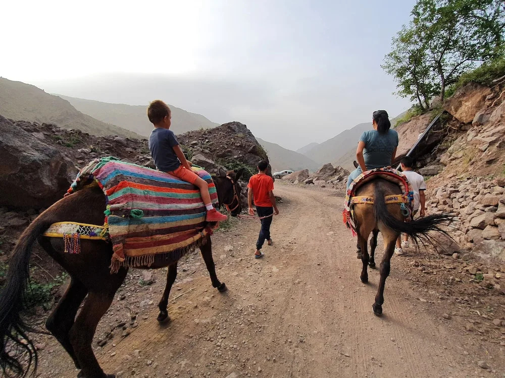 Dar Assarou - Toubkal National Park Lodge