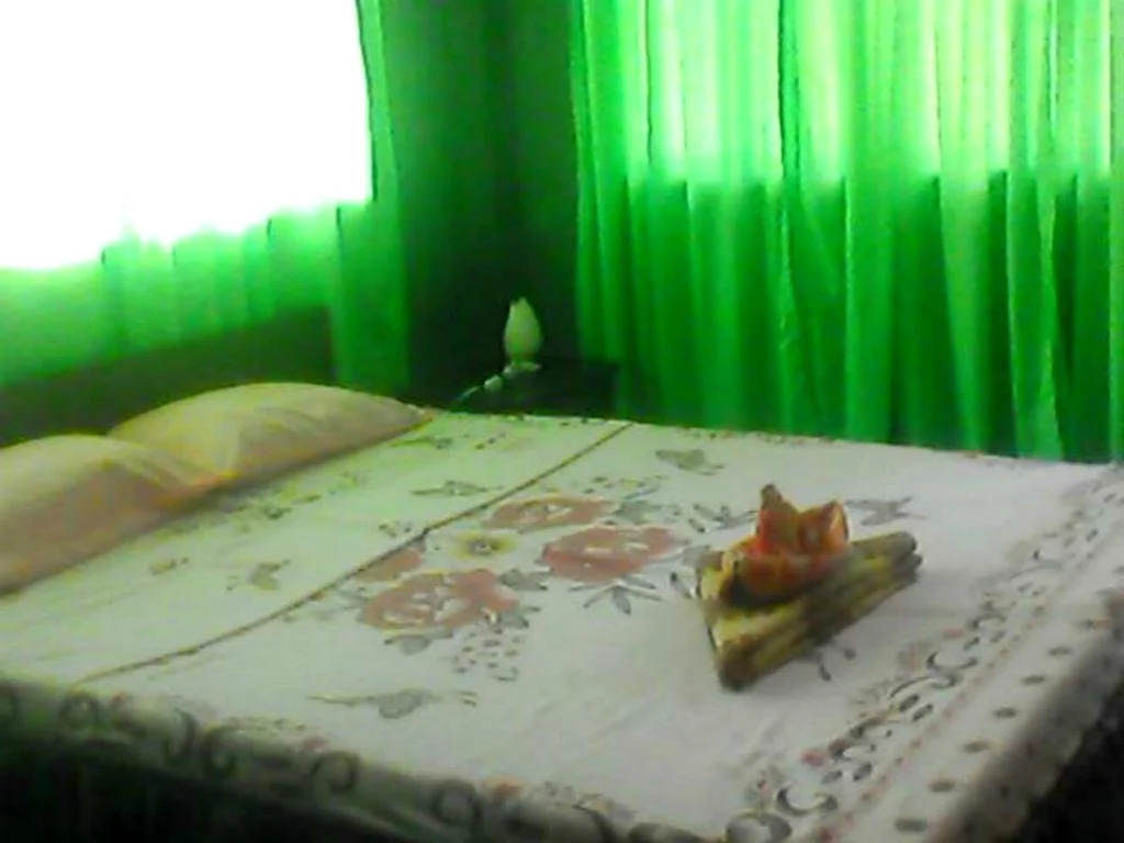 7P2 Bed and Breakfast