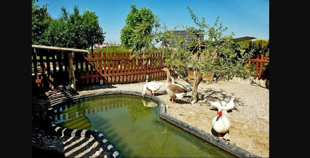 Casa rural Cal Modest