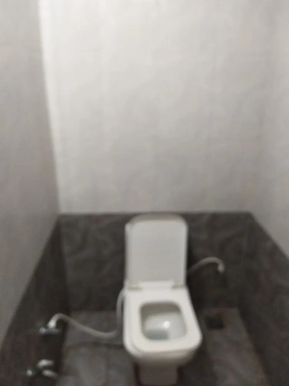 Hotel Shree Vallabh