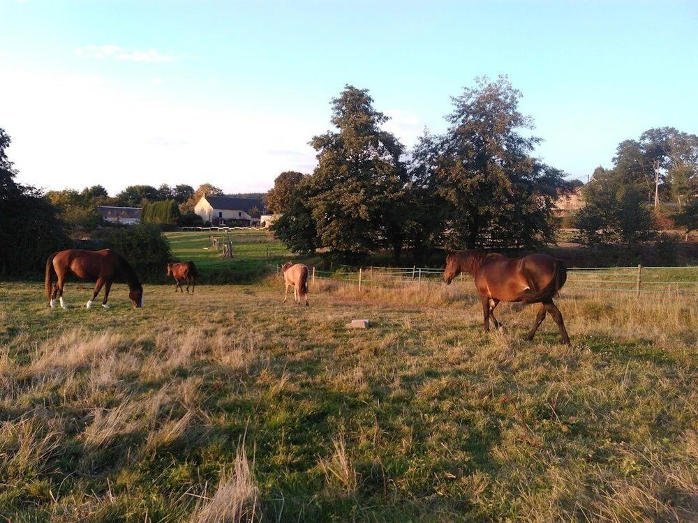La Ferme des Prés