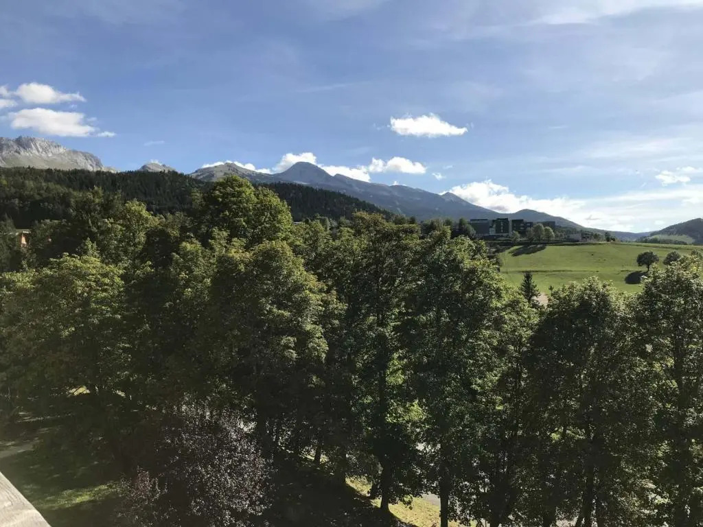 Appartement Villard-de-Lans, 2 pièces, 4 personnes - FR-1-515-47
