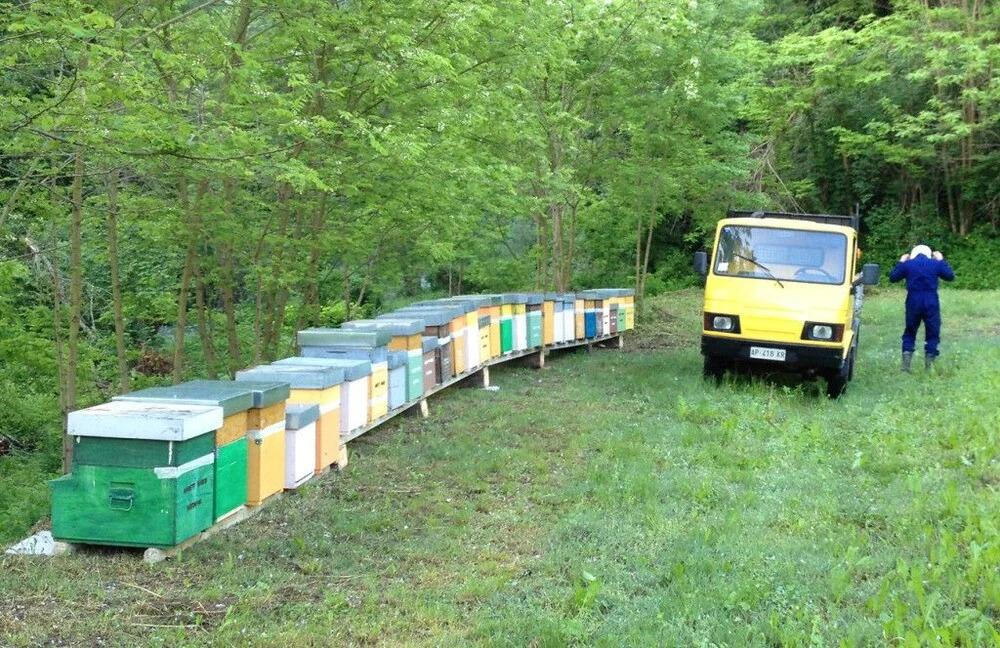 B&B Maretti Marco