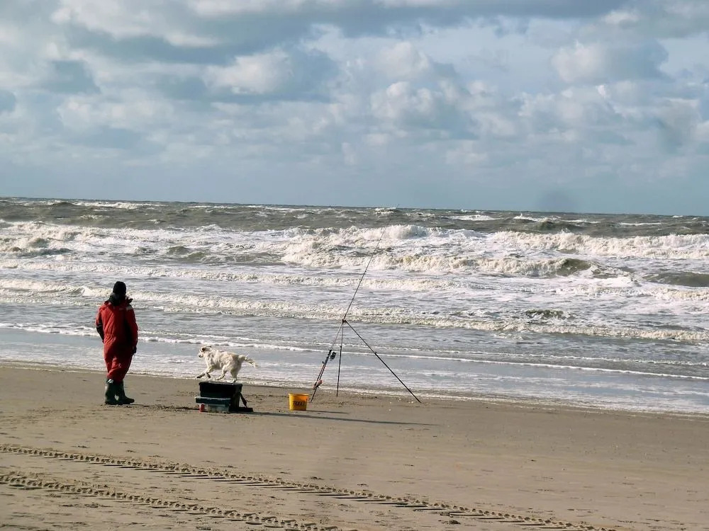 Bed en Breakfast De Pauw