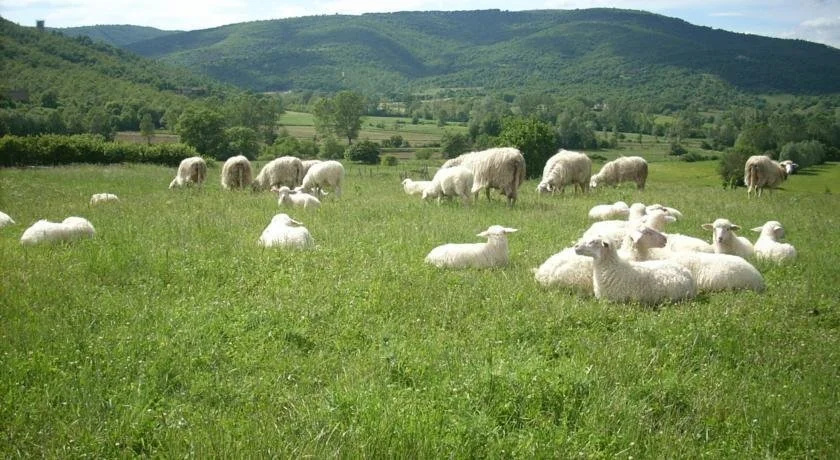 Agriturismo Villa Martis