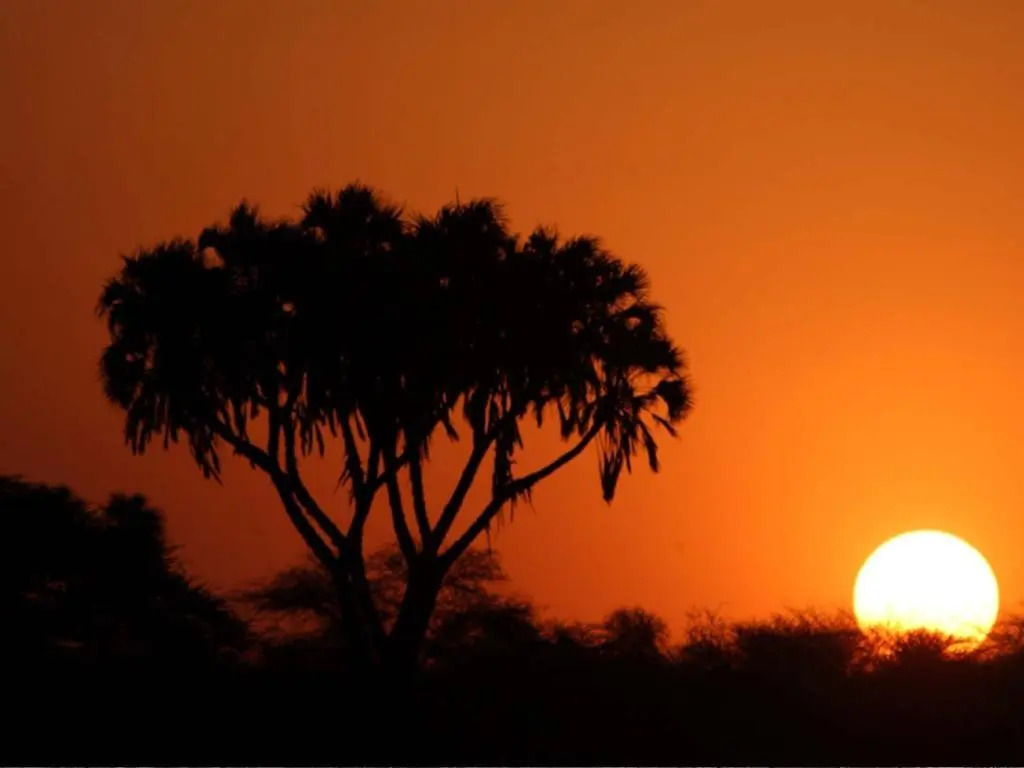 Sarova Shaba Game Lodge