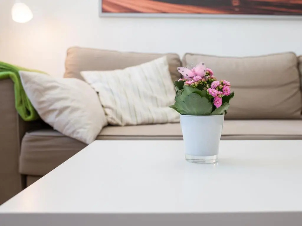 Ferienwohnung Leipzig Nord