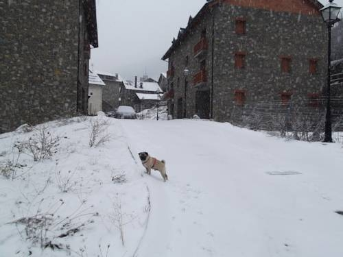 Apartament Felip