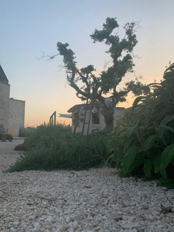 Villa Donatella