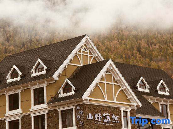 Shanye leisurely luxury hotel