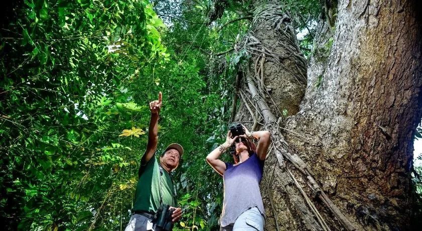 Banana Bank Lodge & Jungle Horseback Adventures