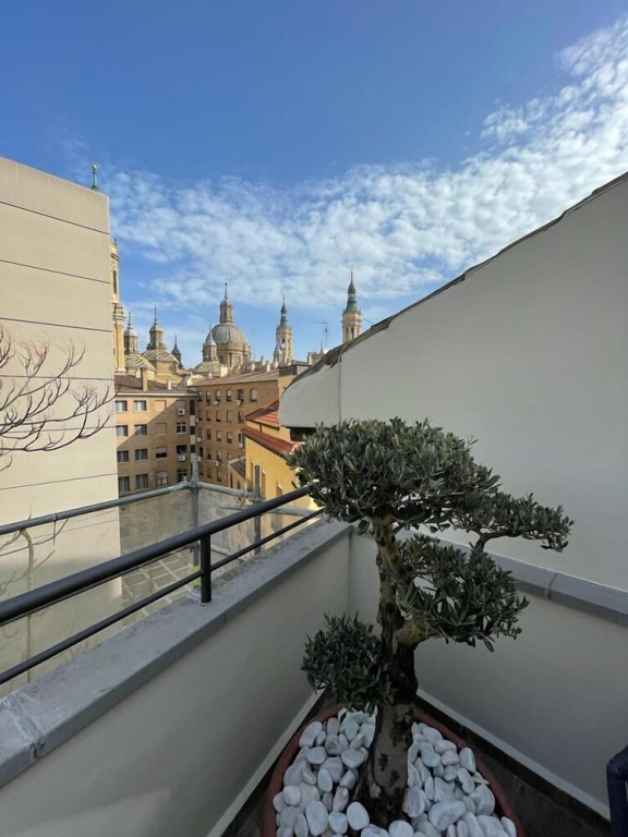 VTZ Hotel San Valero