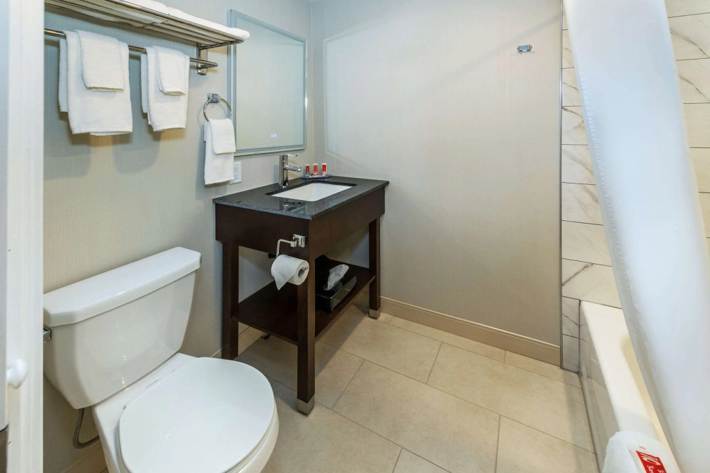 Econo Lodge Inn & Suites Pincher Creek
