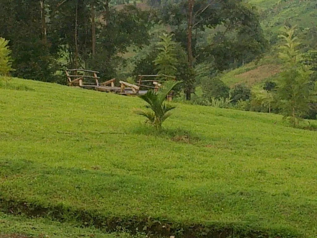The Crested Crane Bwindi Hotel