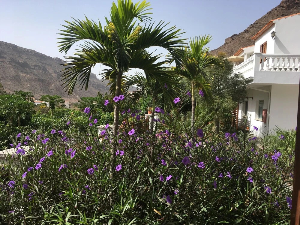 Finca el Moral