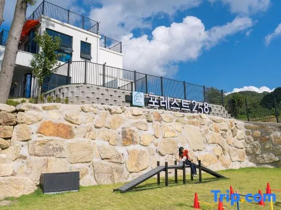 Geyongju Forest 258 Pet-friendly Pool Villa