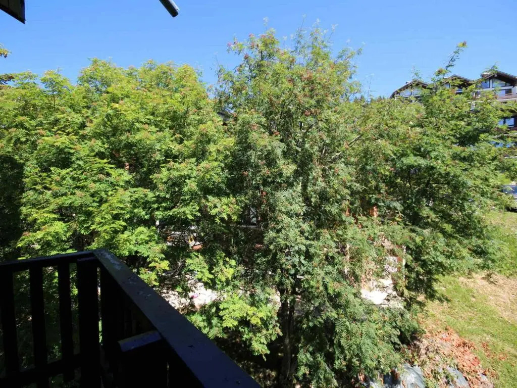 Appartement Les Saisies, 1 pièce, 2 personnes - FR-1-293-245