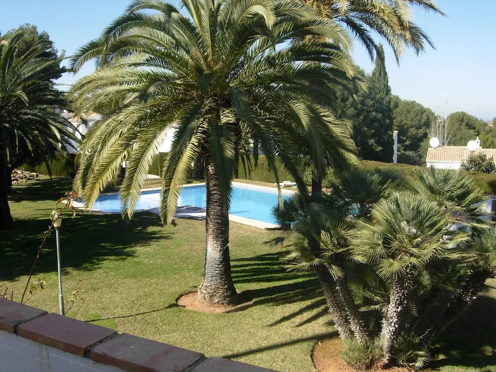 Apartamento Los Almendros 4
