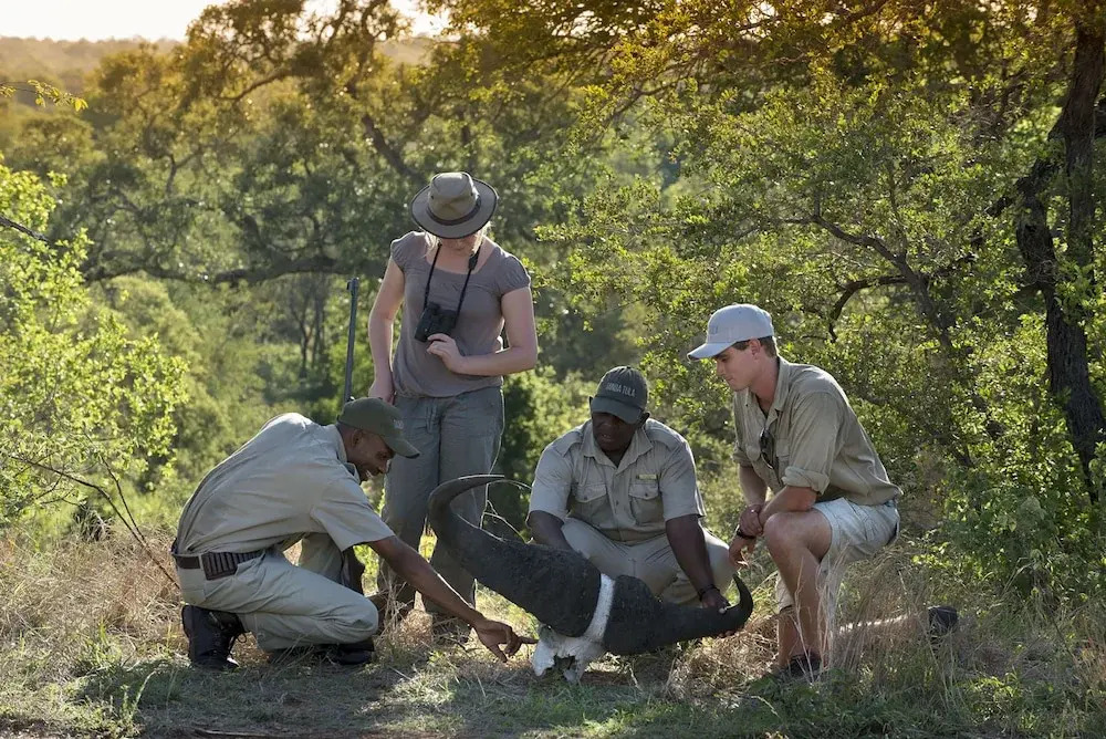 Tanda Tula Safari Camp