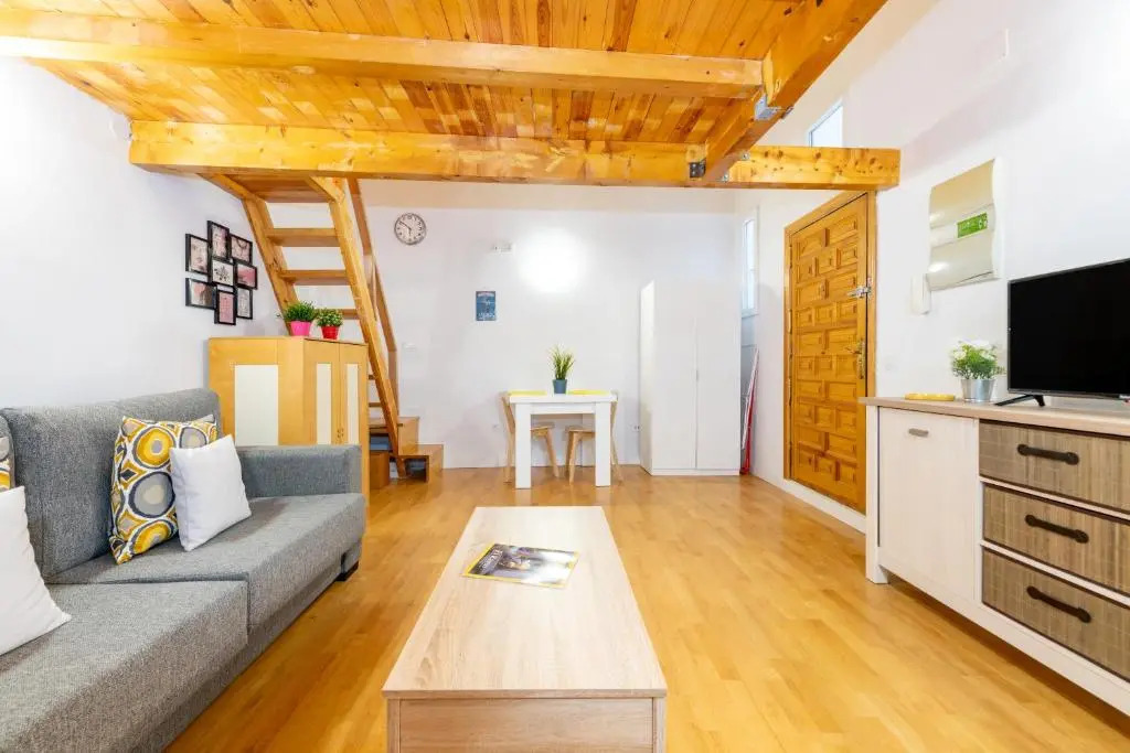 Duplex Lavapies 1BD