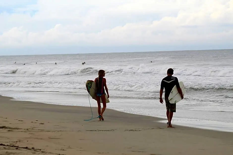 Hotel Papaya Surf