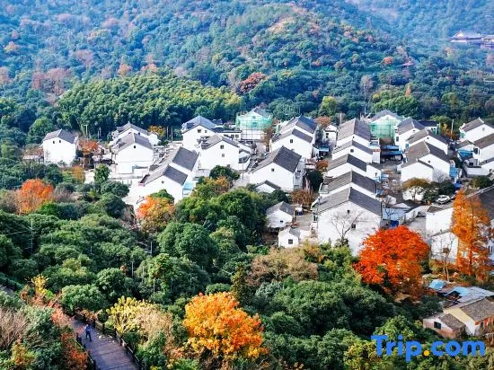 Suzhou Xugusu Tree Mountain Homestay