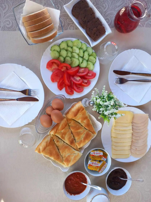 GOPO Guesthouse Elshani