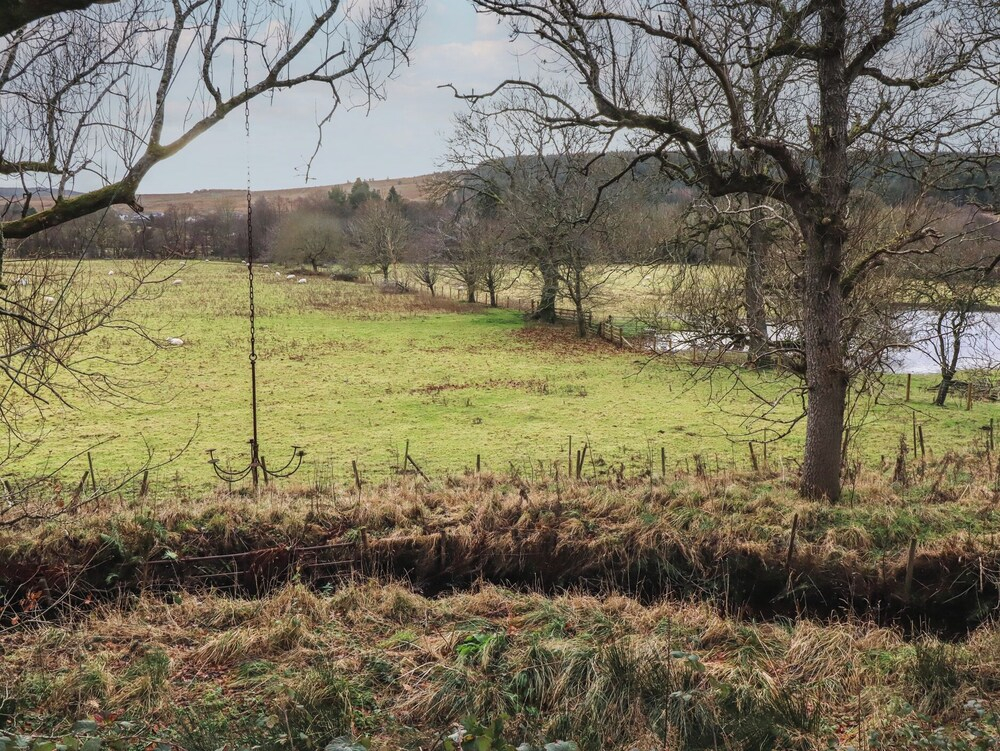 Woodland