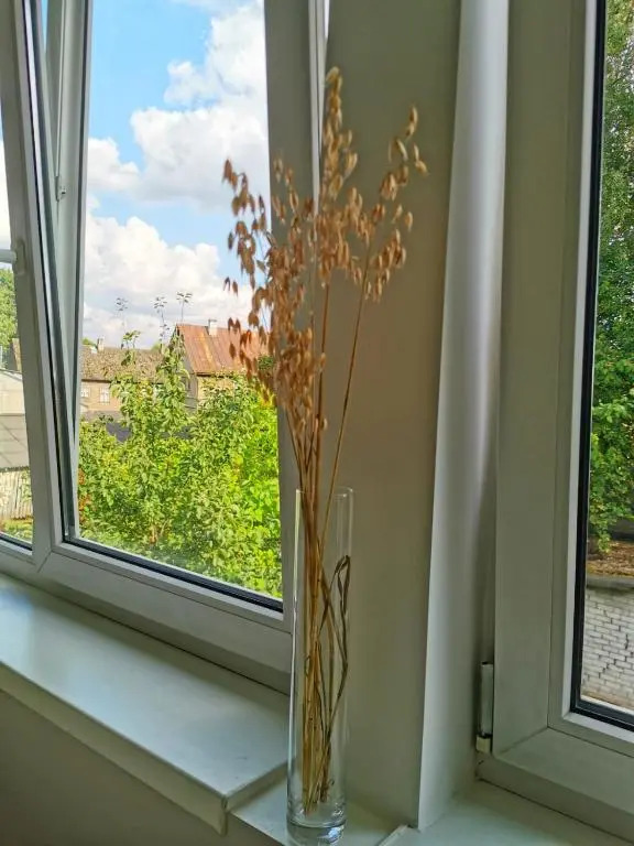 Tolstoi Scandinavian 1 bedroom apartment + free parking
